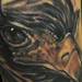 Tattoos - Eagle Head - 43414